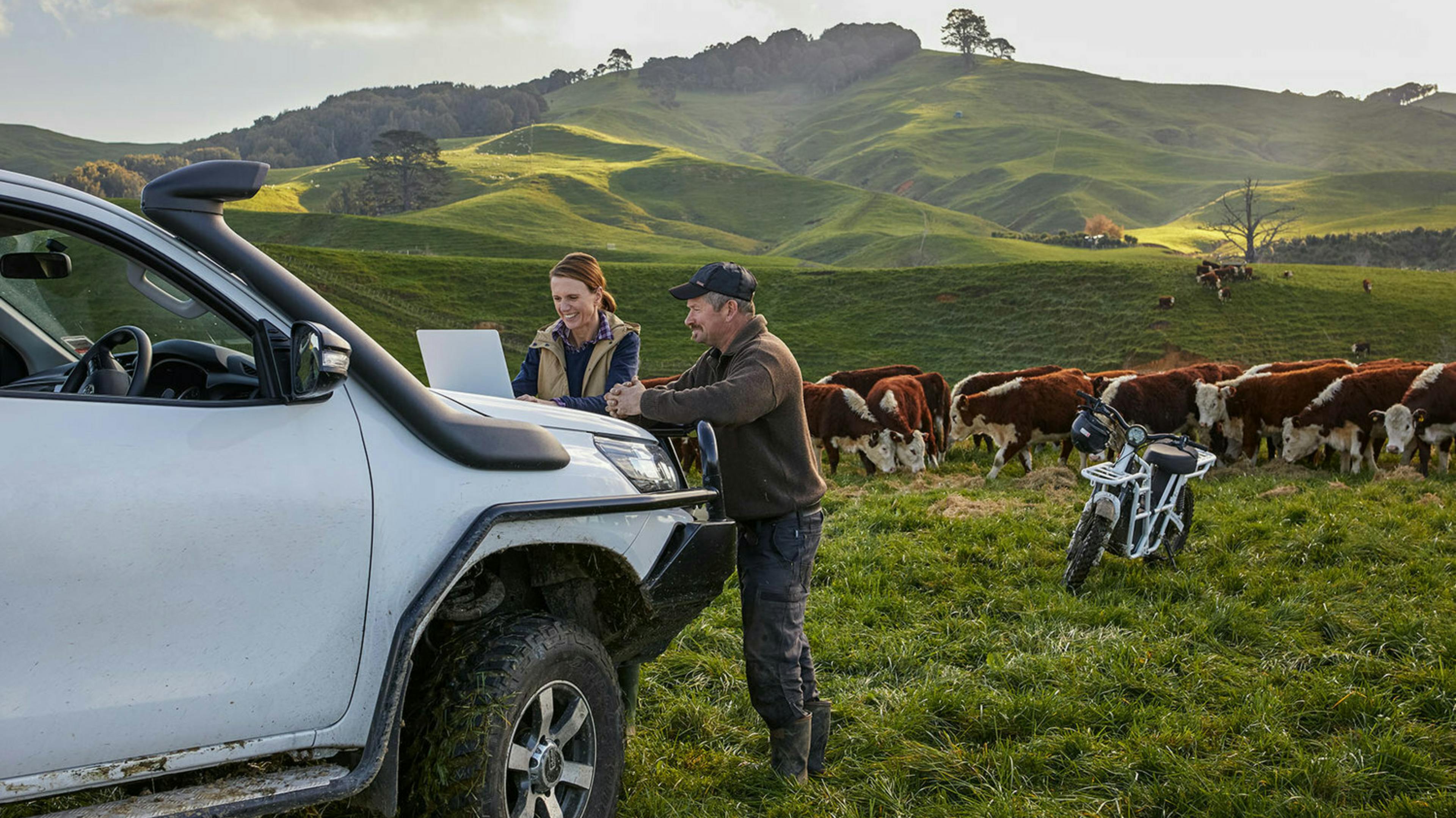 How To Invest In The New Zealand Farming Industry