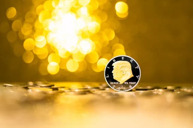 "Trump" meme coin has lost 80 per cent of its value since his inauguration.