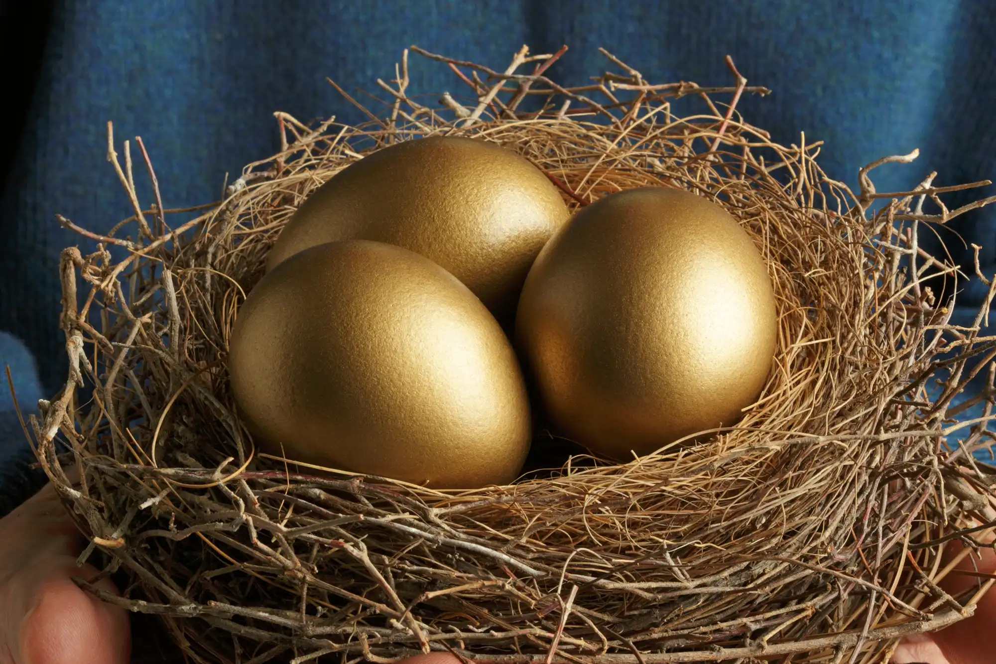 A nest filled with gold eggs