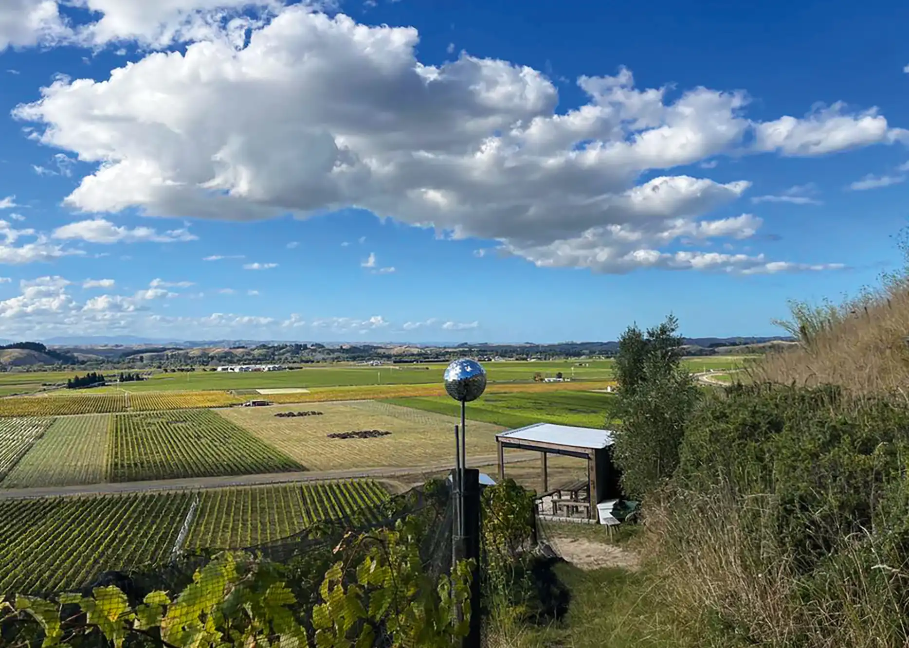 Bilancia winery